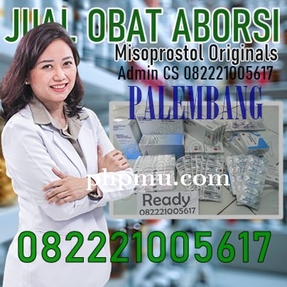PENGGUGUR-PALEMBANG.jpg